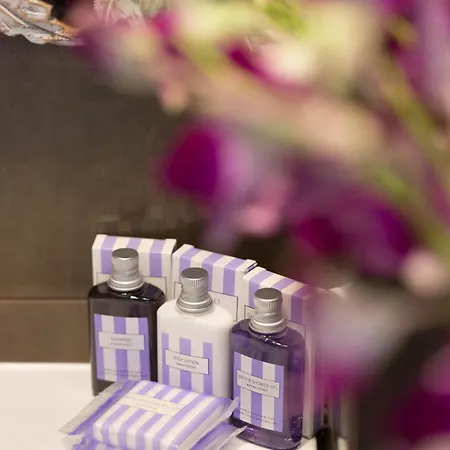 玛耶斯塔雷酒店 4*